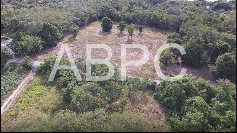 Land For Sale Near Nongnuch tropical Garden photo 5