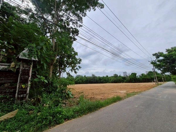 Land For Sale Near Nongnuch tropical Garden photo 13