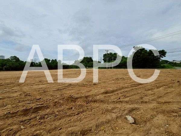 Land For Sale Near Nongnuch tropical Garden photo 2