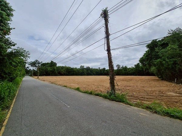 Land For Sale Near Nongnuch tropical Garden photo 11