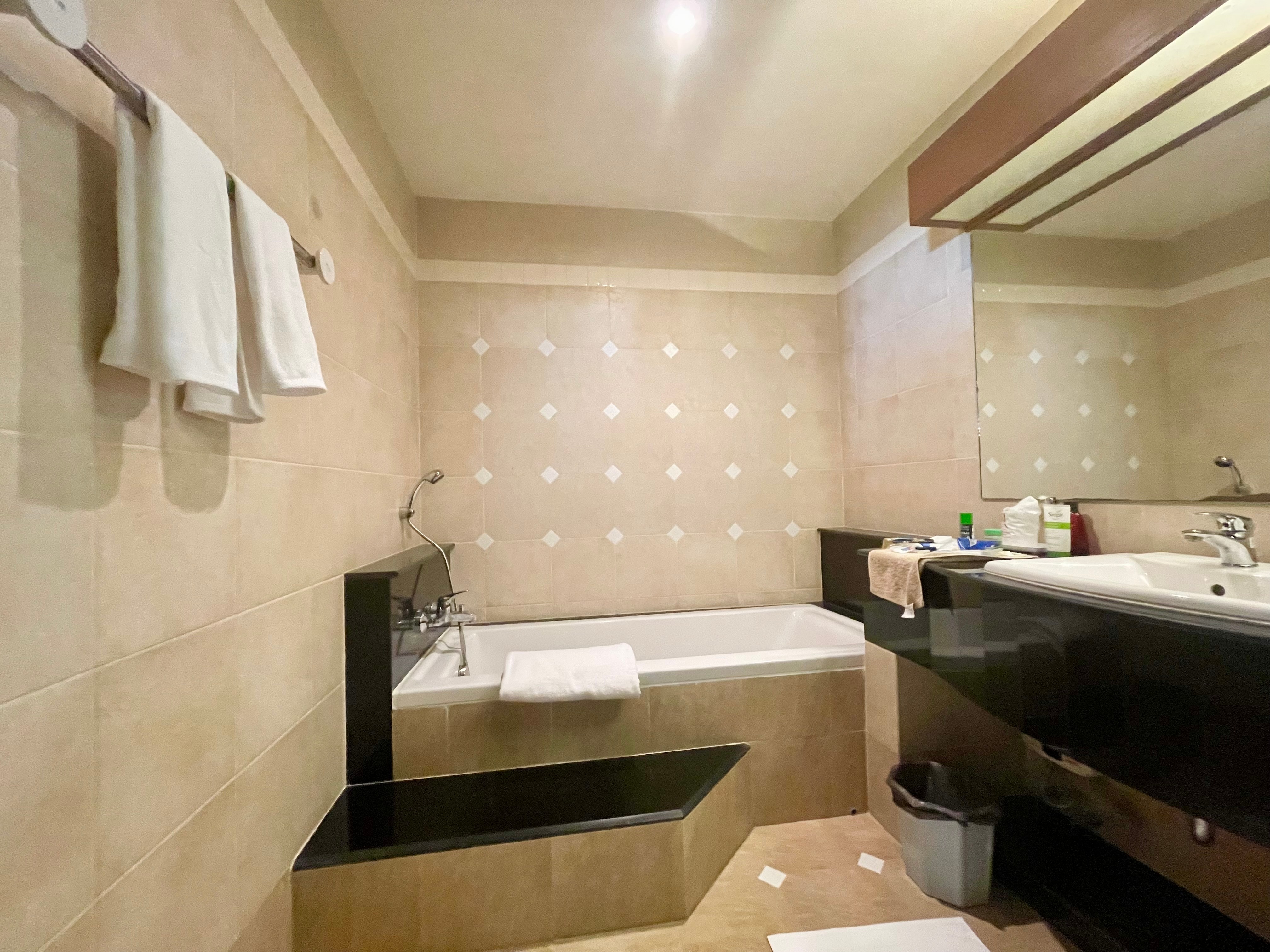 Larger 1 Bedroom For Rent in  Whitehouse condotel photo 25