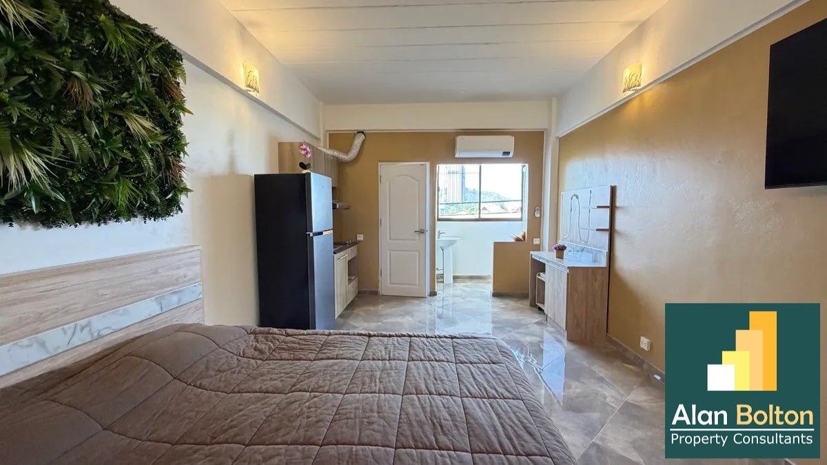 Newly renovated Studio Condo For Sale In Fly Bird photo 3