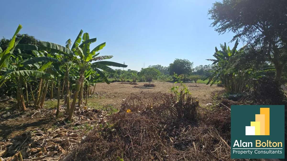 Land for Sale Near Mabprachan Lake, East Pattaya –1.4 Rai (2,252 sqm) photo 2