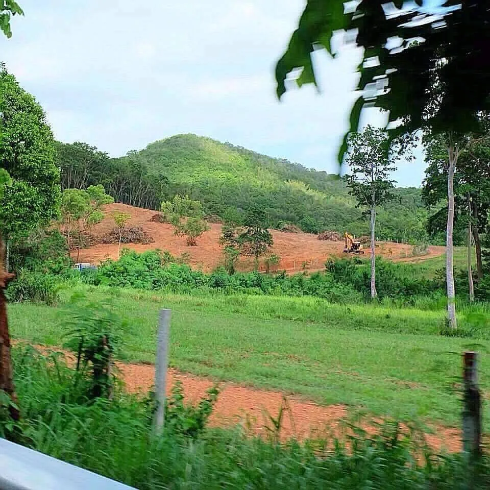 Land At Silverlake on The Main Road photo 8