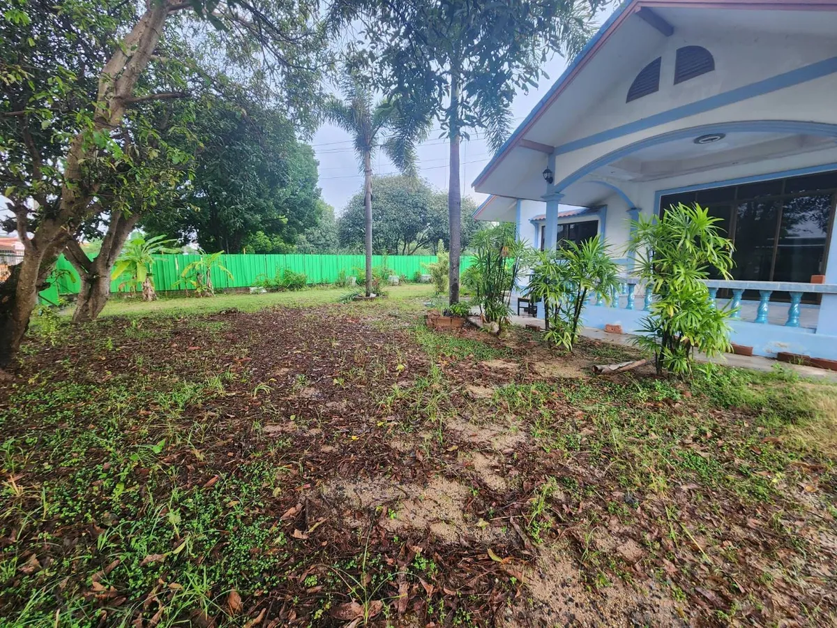 Land With a House for Sale in a Prime Location photo 13