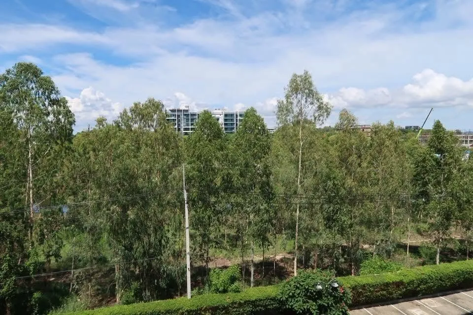 คอนโด เลี้ยงสัตว์ได้สำหรับขาย Pet Friendly Sea View Condo For sale In Jomtien Beach photo 18