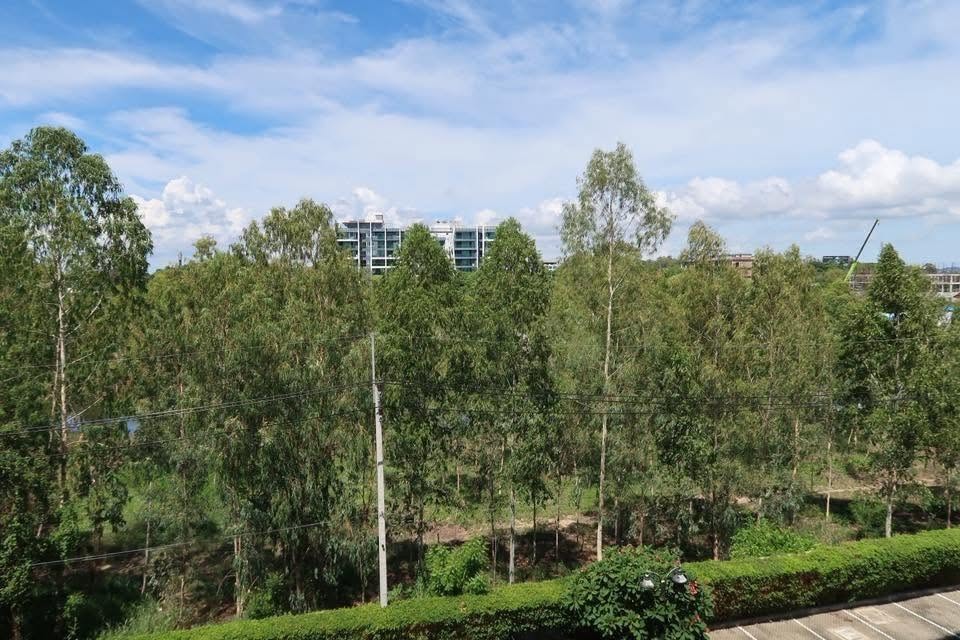 คอนโด เลี้ยงสัตว์ได้สำหรับขาย Pet Friendly Sea View Confo For sale In Jomtien Beach photo 19