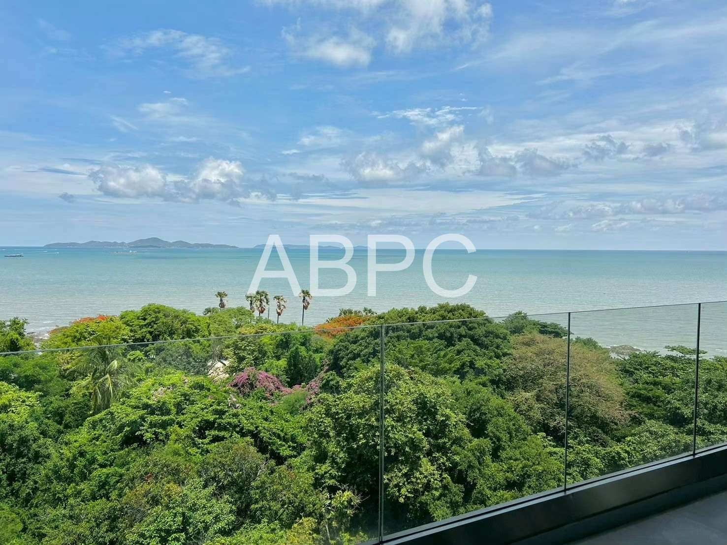 Beachfront Condo for Sale In Wongamat Beach photo 5
