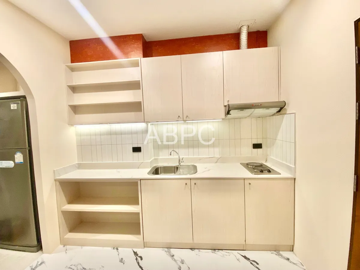 New Refurbished Studio Condo For Sale photo 5