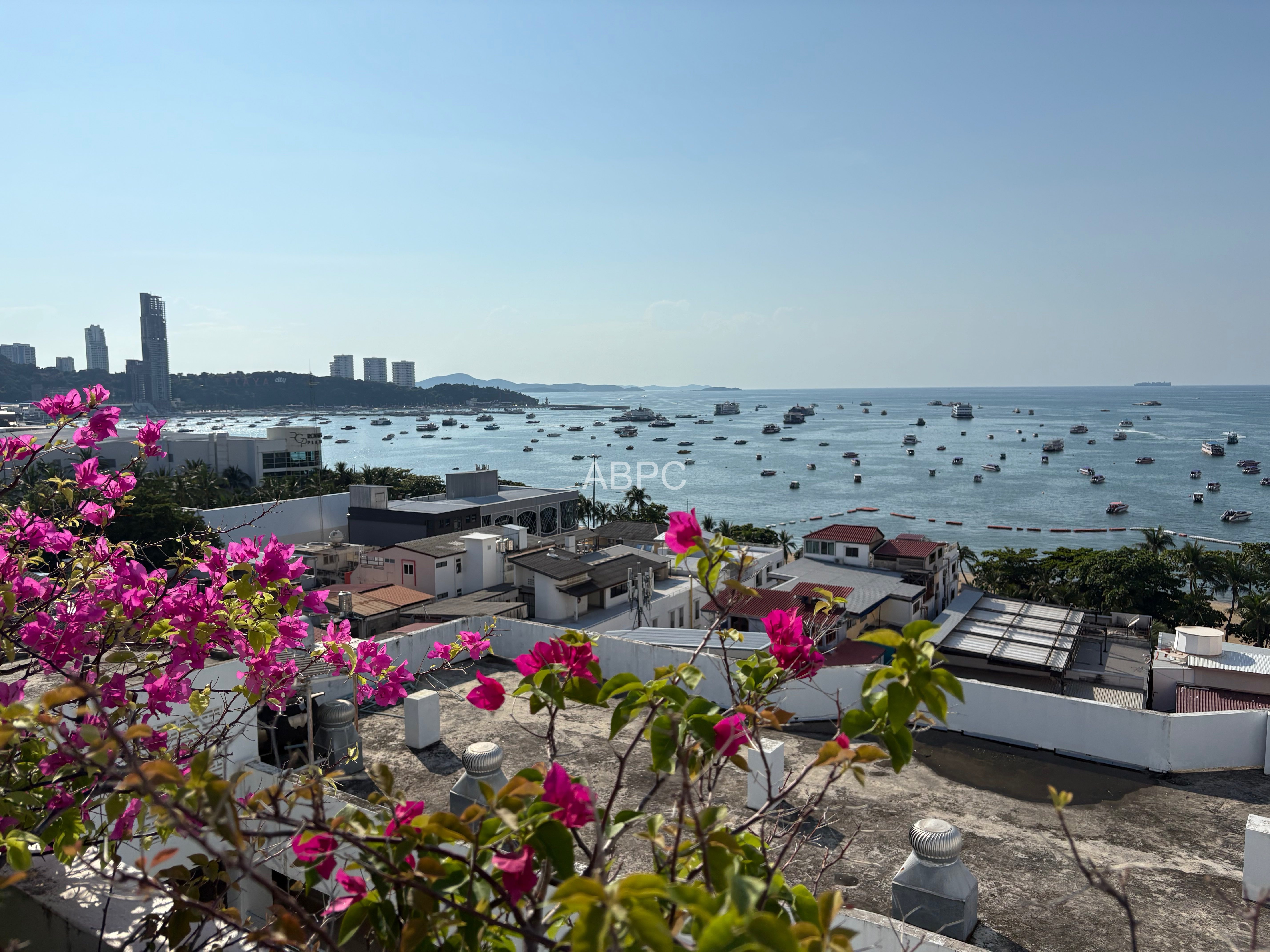 Large 1 Bed - 1 Bath Condo in Central Pattaya