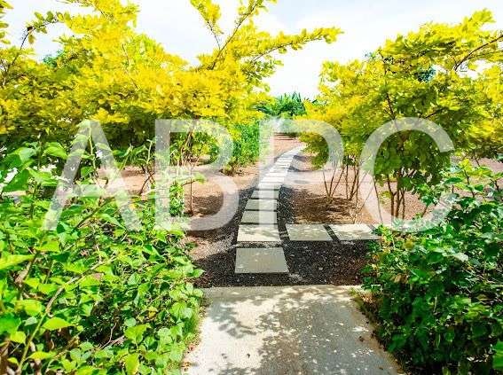 1.78 Rai Lot & Newer 3 Bed 2 Bath House in Buriram photo 6