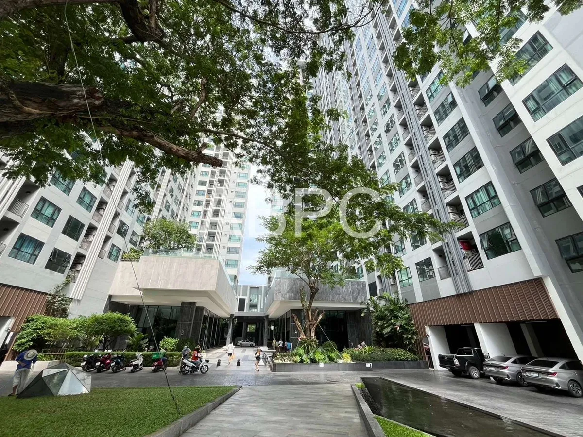 1 Bedroom Condo For Rent in Central Pattaya - The Base