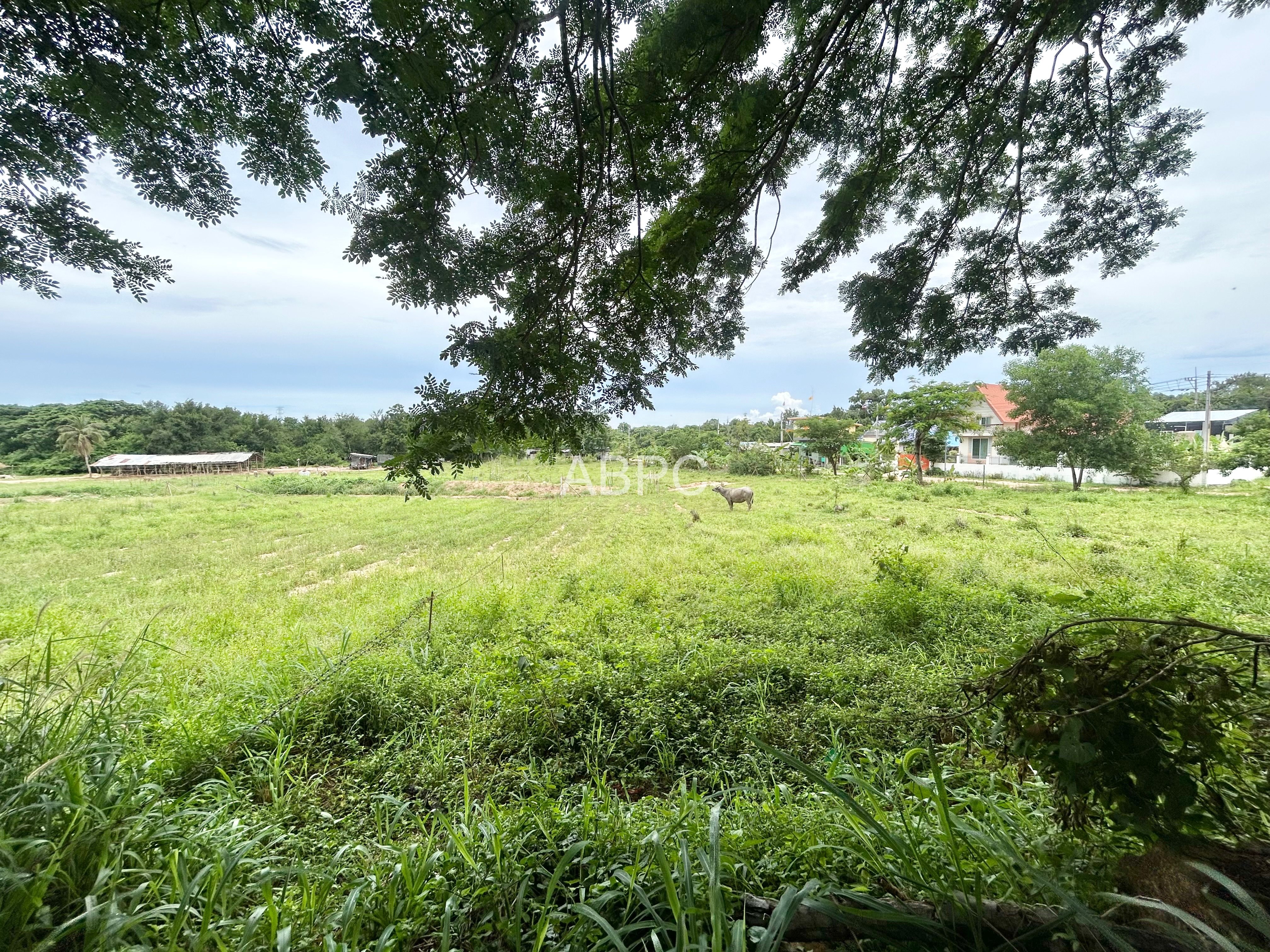 Land For Sale in Pong photo 7