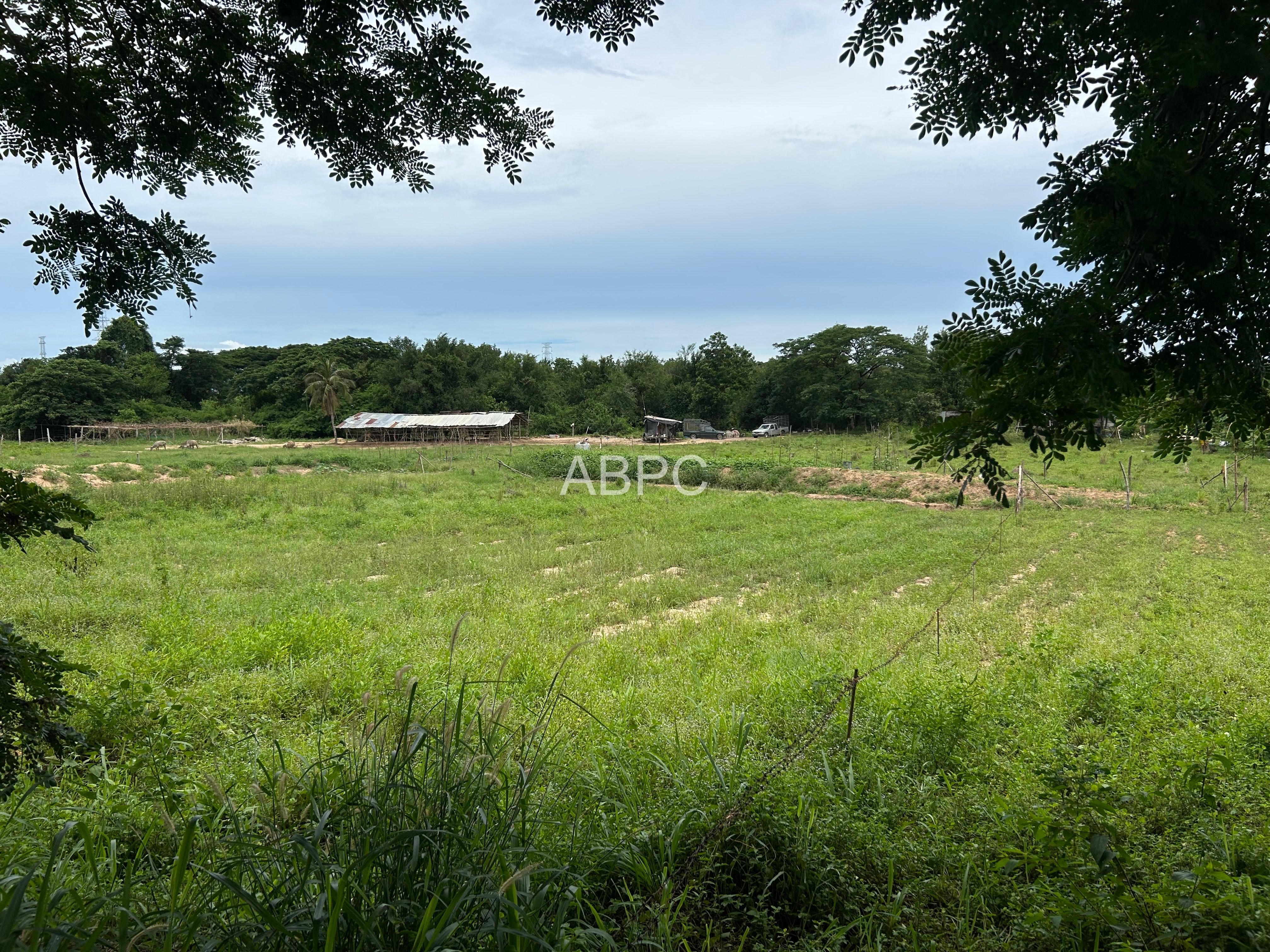 Land For Sale in Pong photo 4