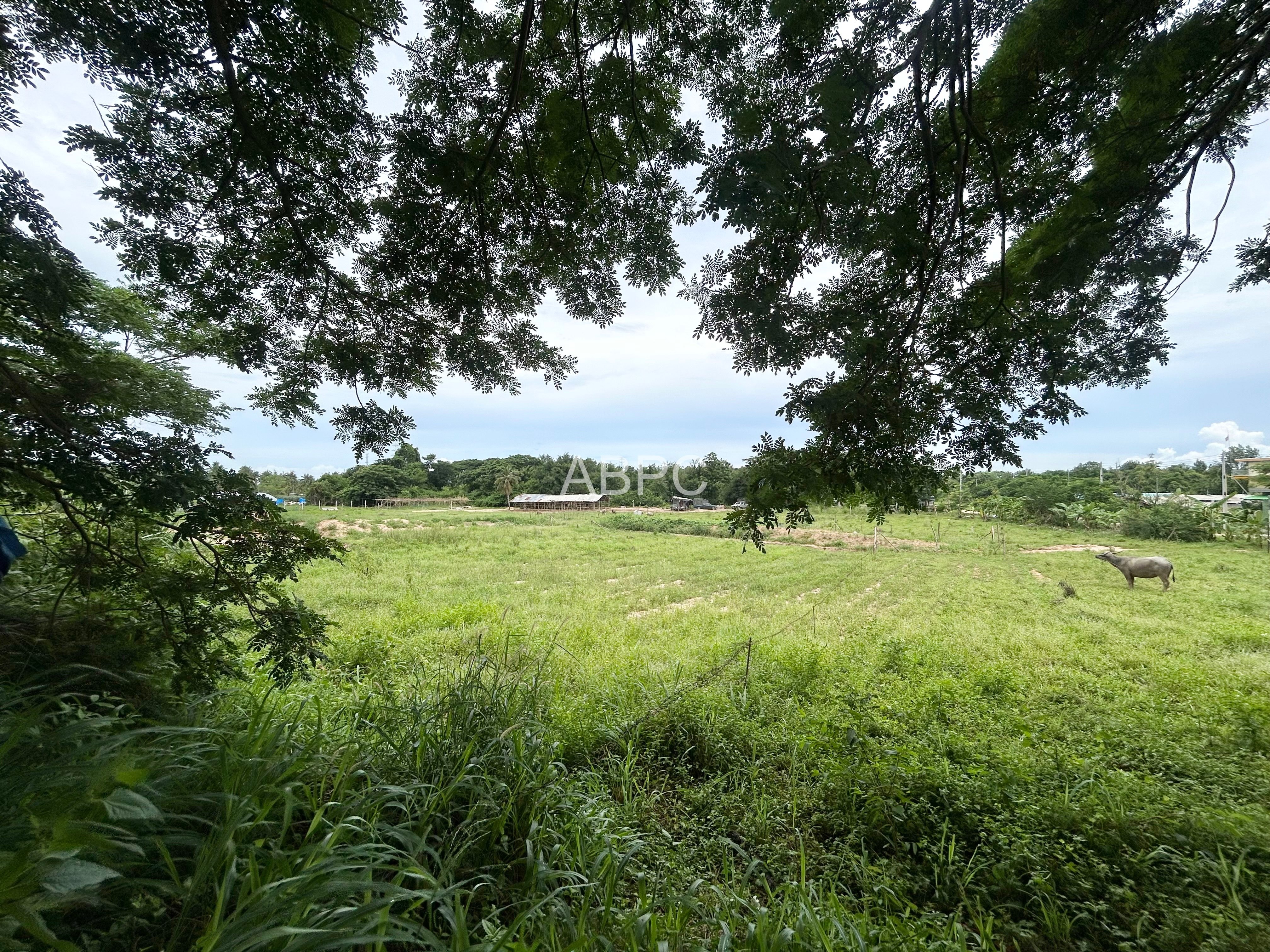 Land For Sale in Pong photo 5