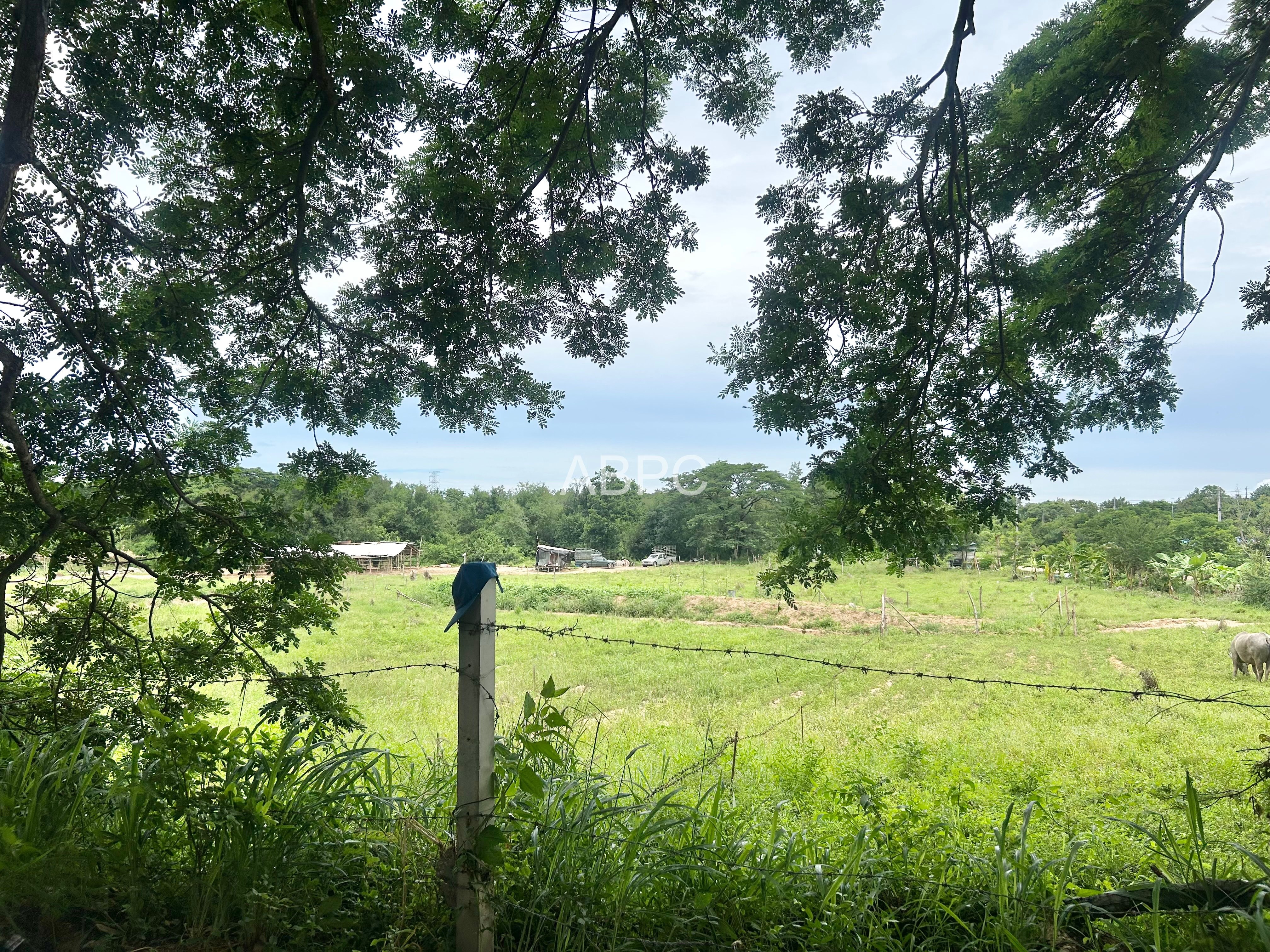 Land For Sale in Pong photo 8