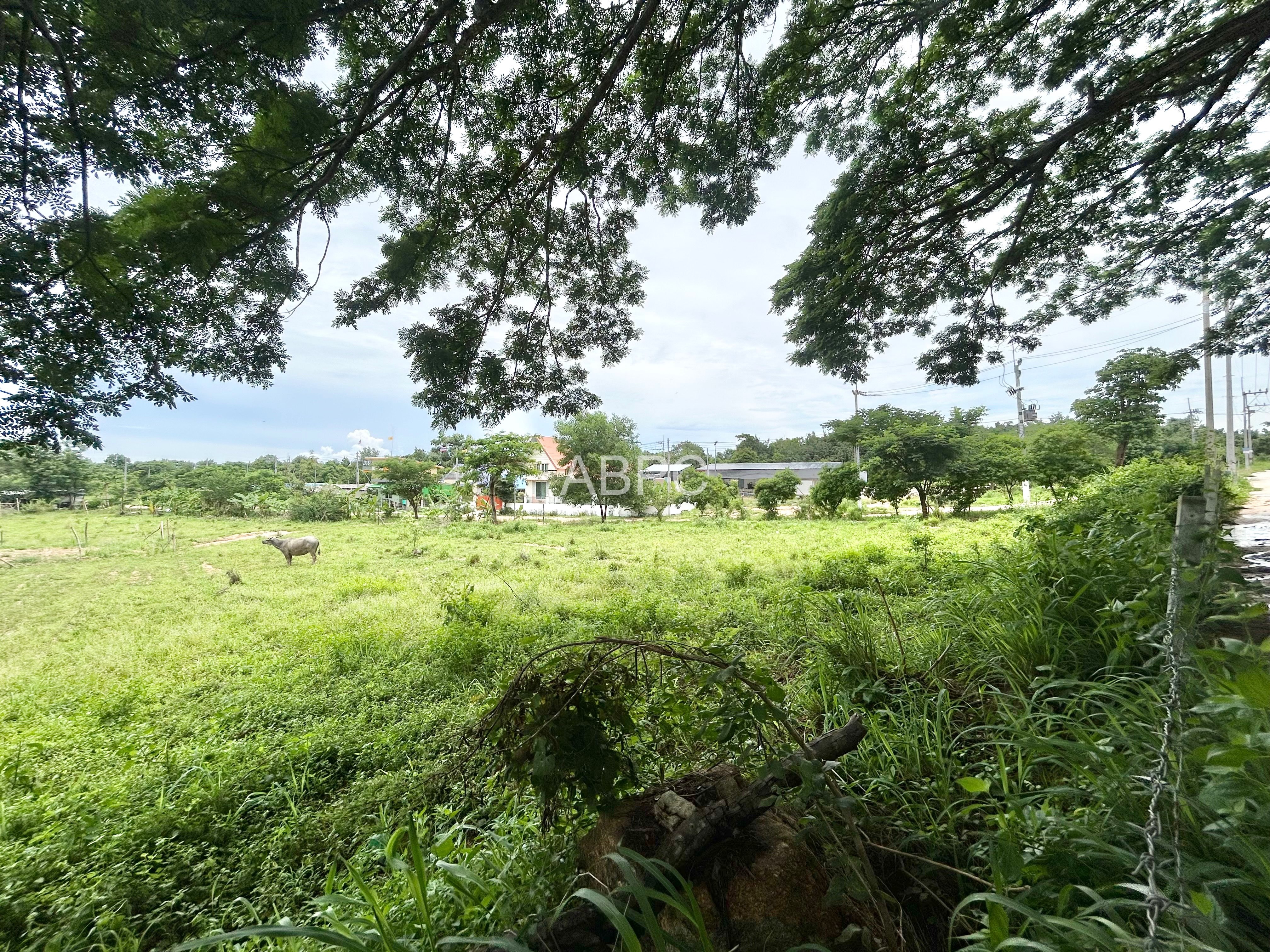 Land For Sale in Pong photo 6