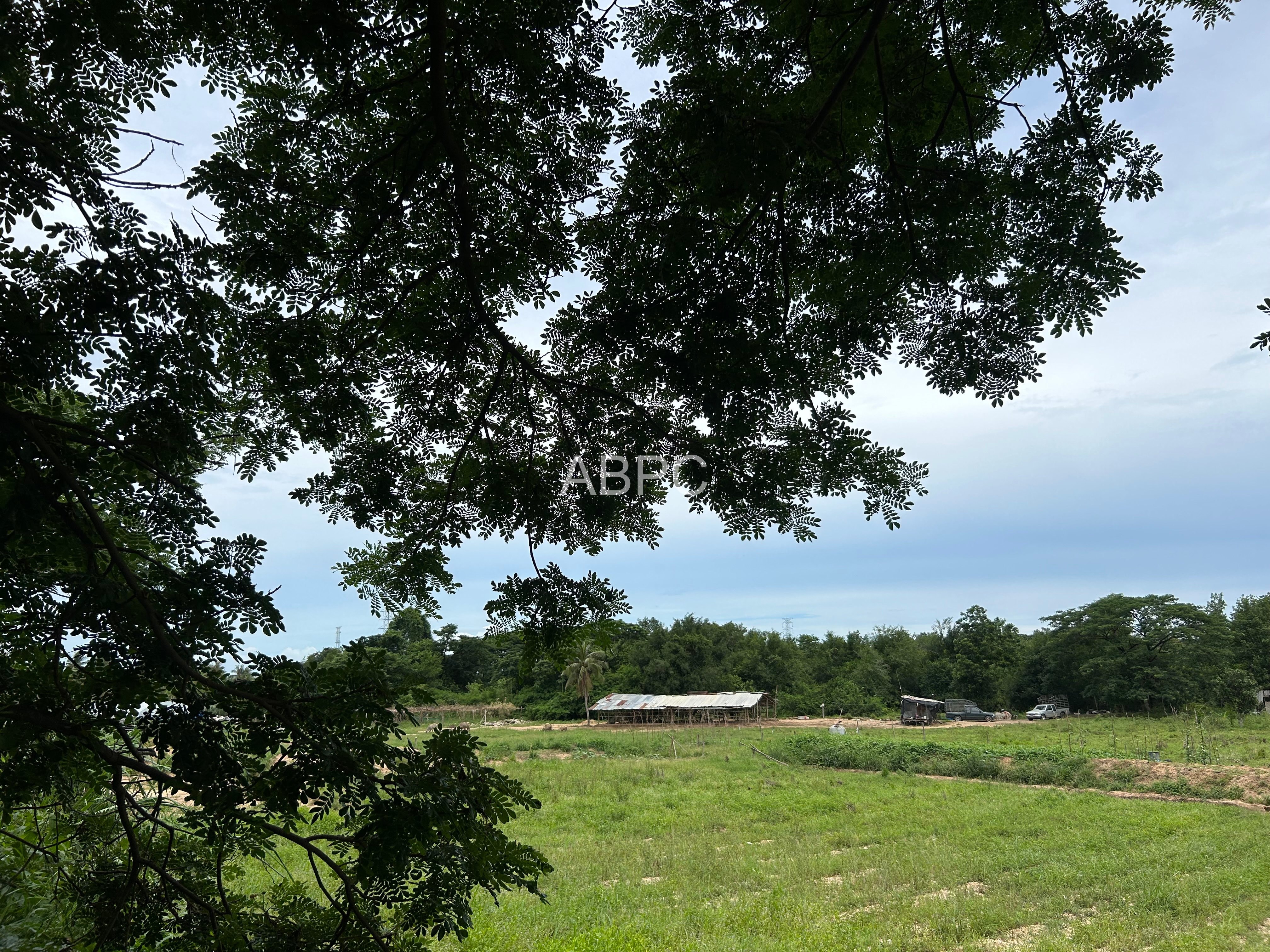 Land For Sale in Pong photo 2