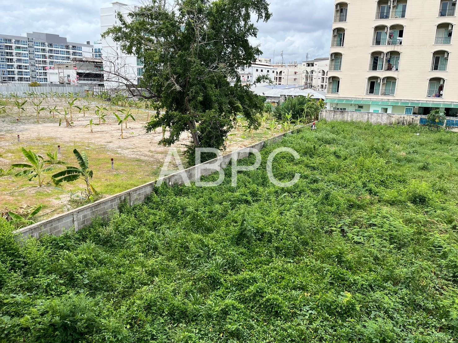 Large 1 Bed 1 Bath Condo In Central Pattaya photo 11
