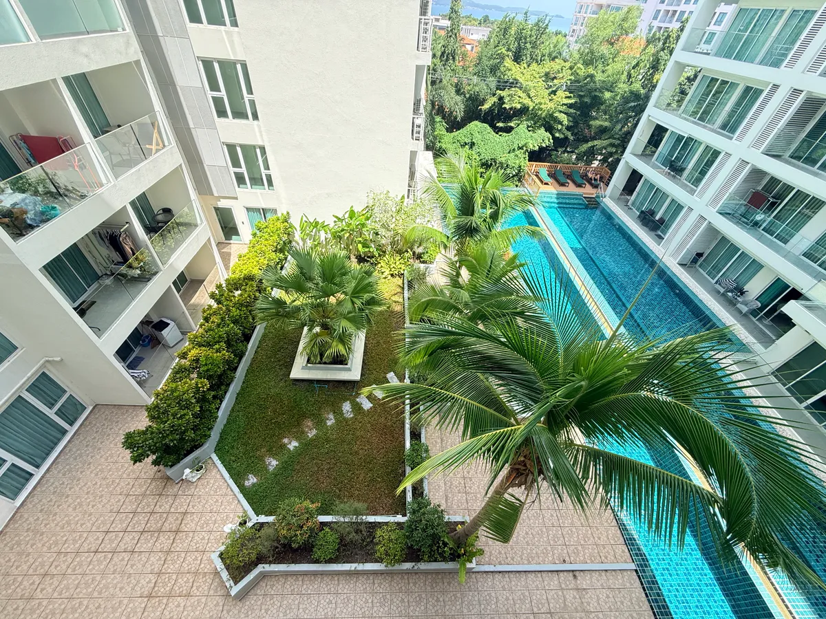 Sunset Boulevard Residence 2 pool view for rent