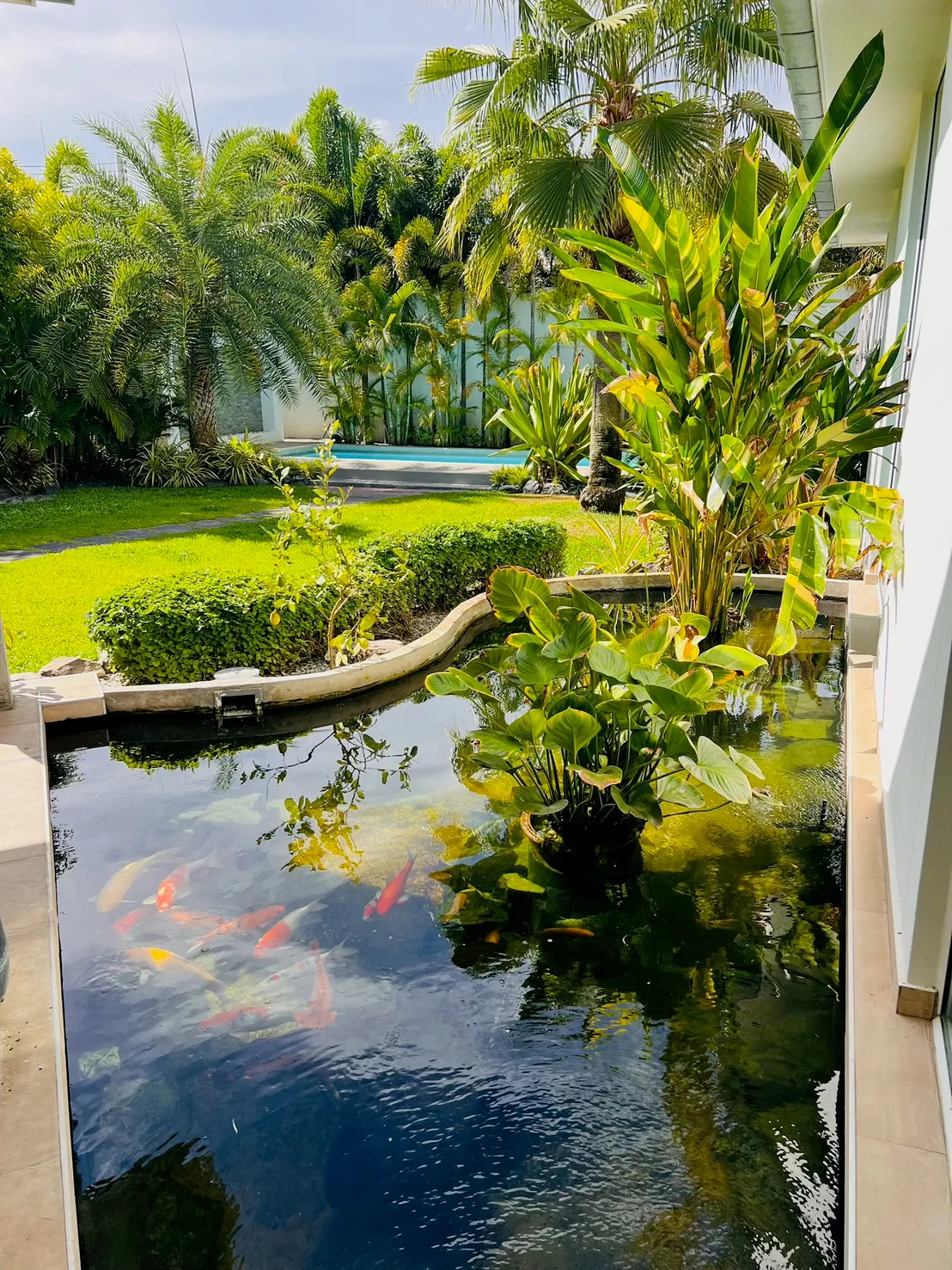 3 Bedroom 3 Bathroom with Private Pool in Huay-yai For Sale photo 5