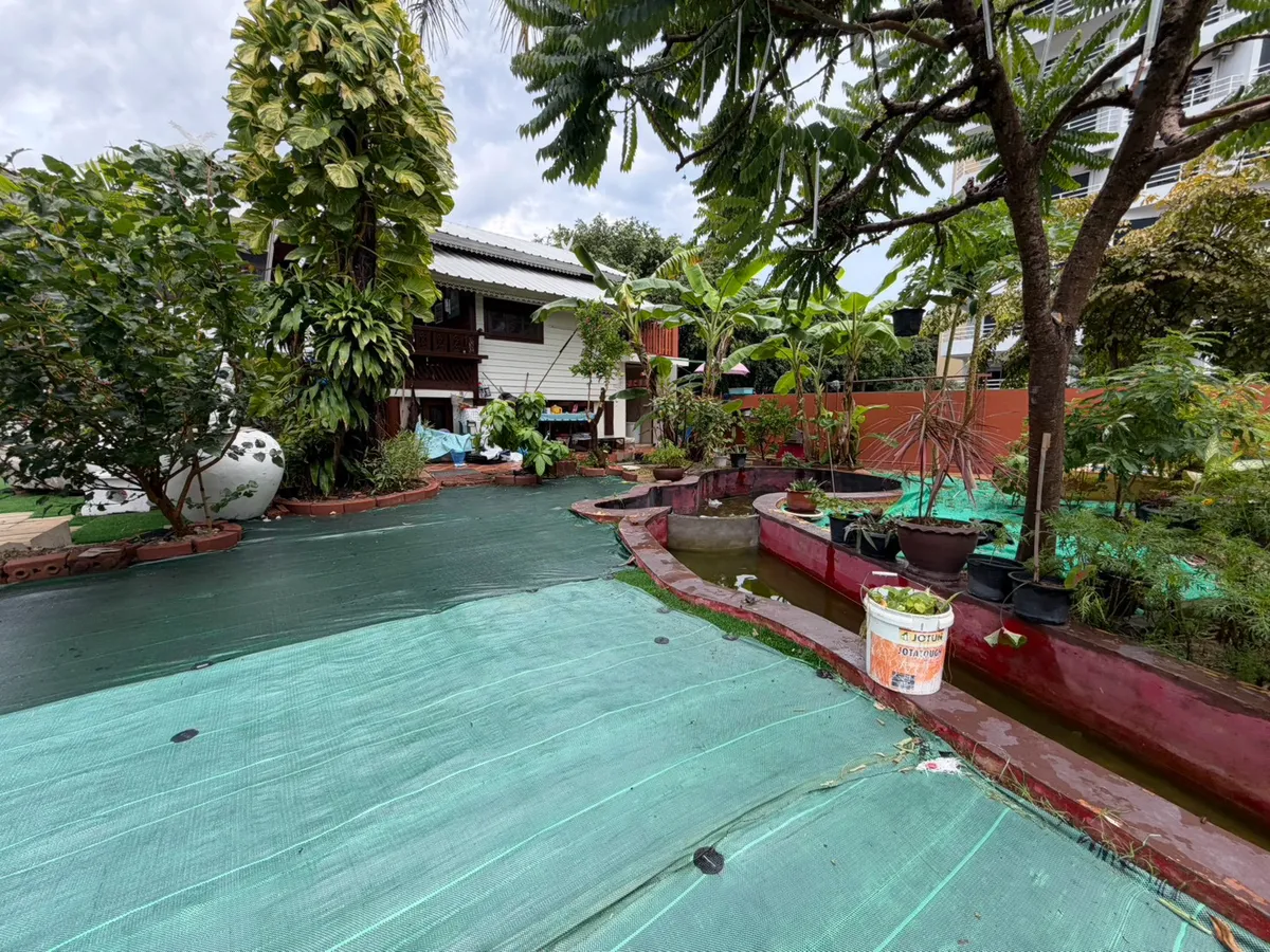 Thai style house for sale and rent at Royal Park Village photo 6