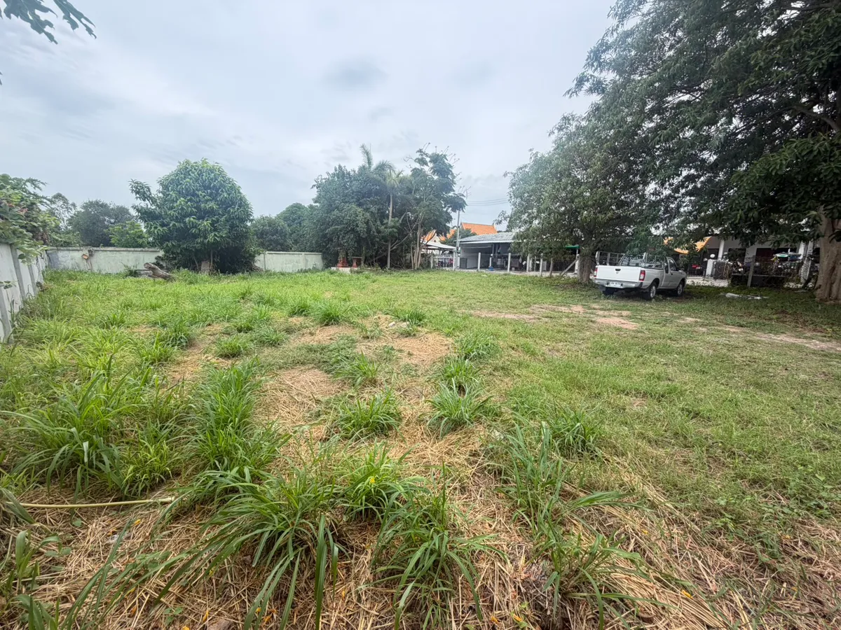 Land huay yai Soi 13 photo 7