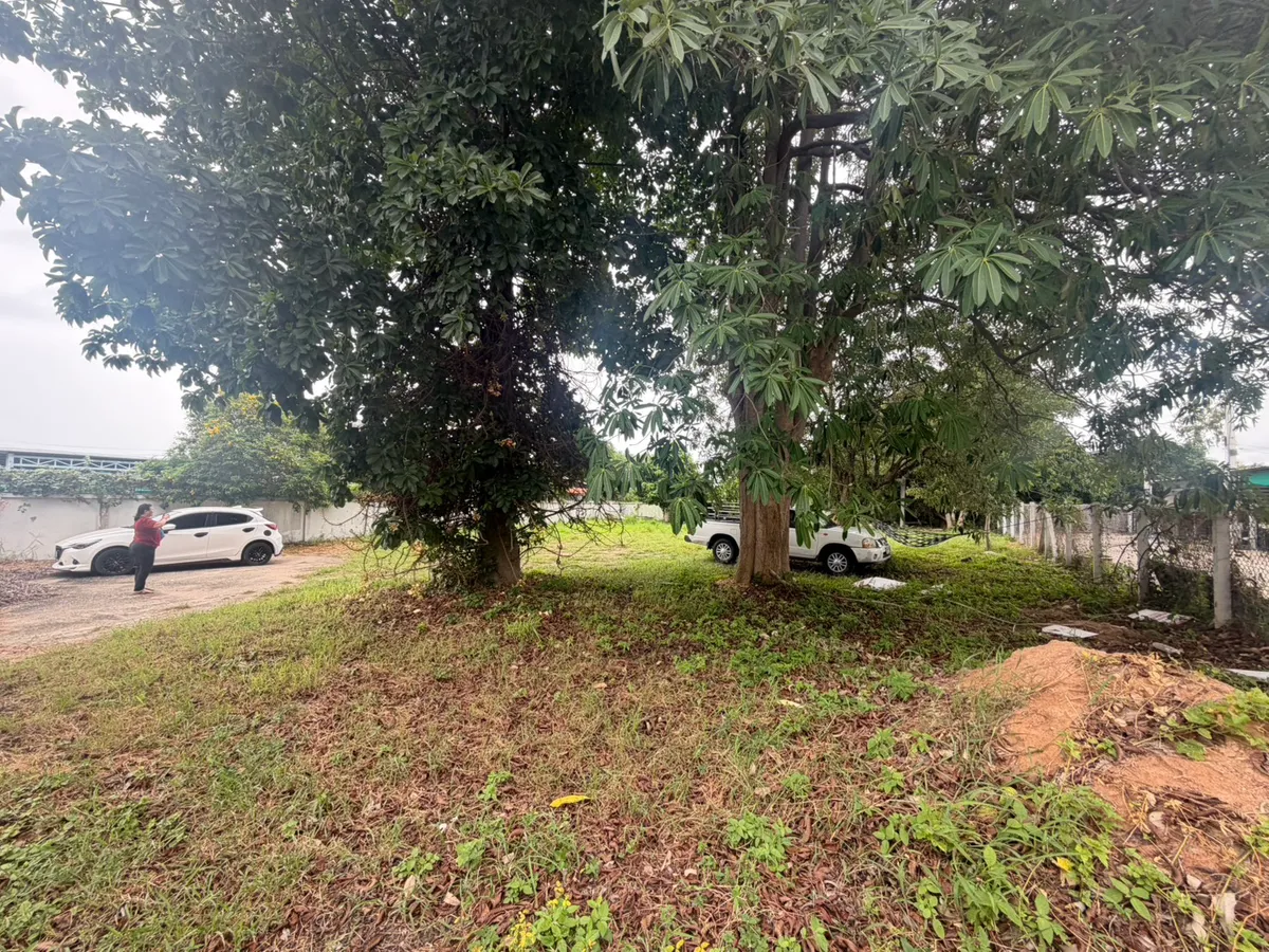 Land huay yai Soi 13 photo 3