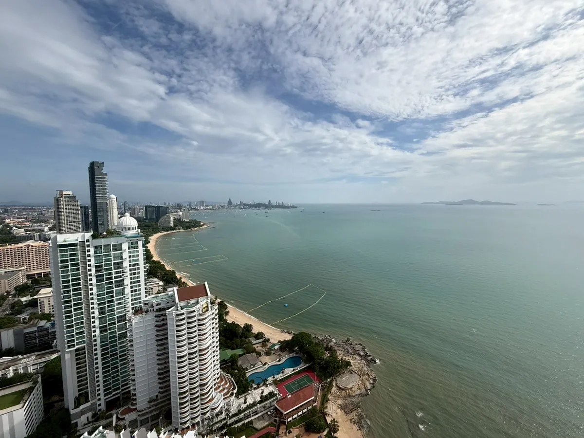 The Palm photo 22