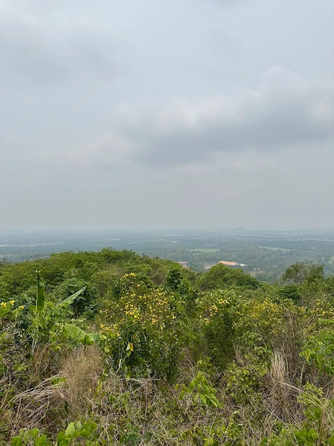 ATV & BUGGY ADVENTURES
