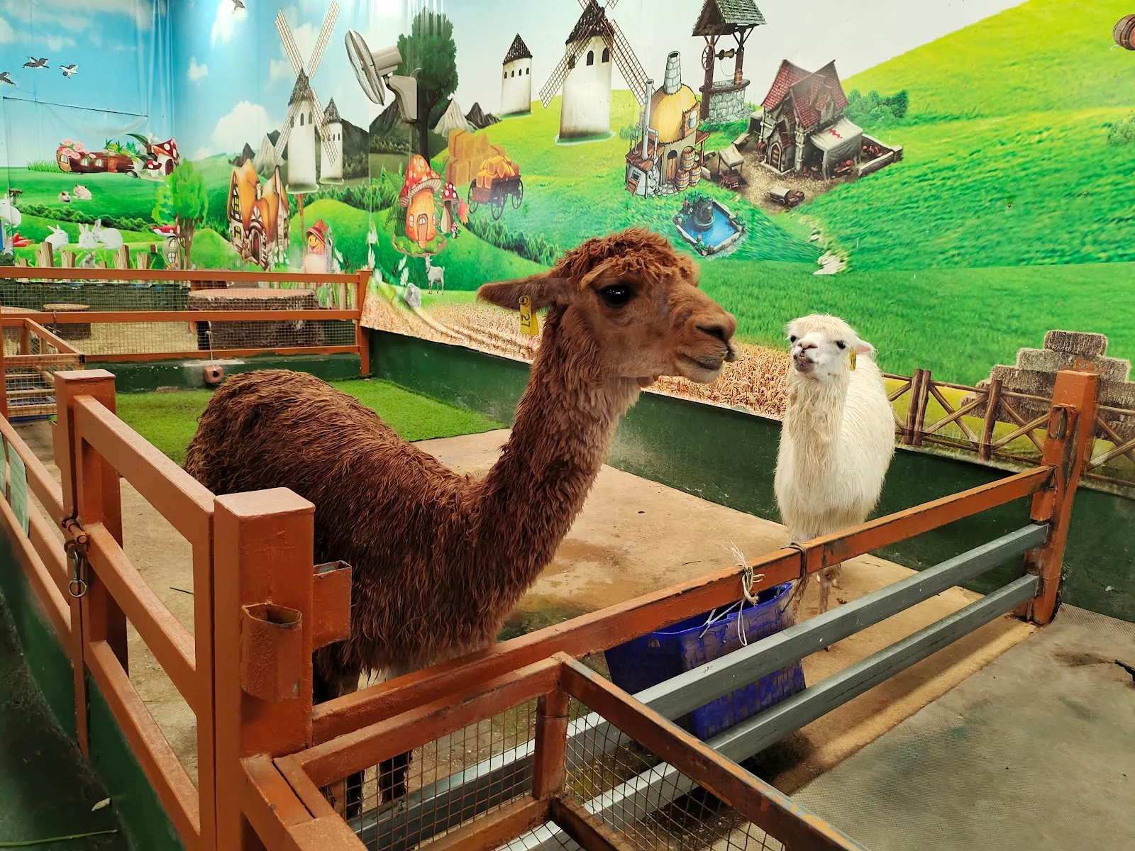 Monster Aquarium Pattaya