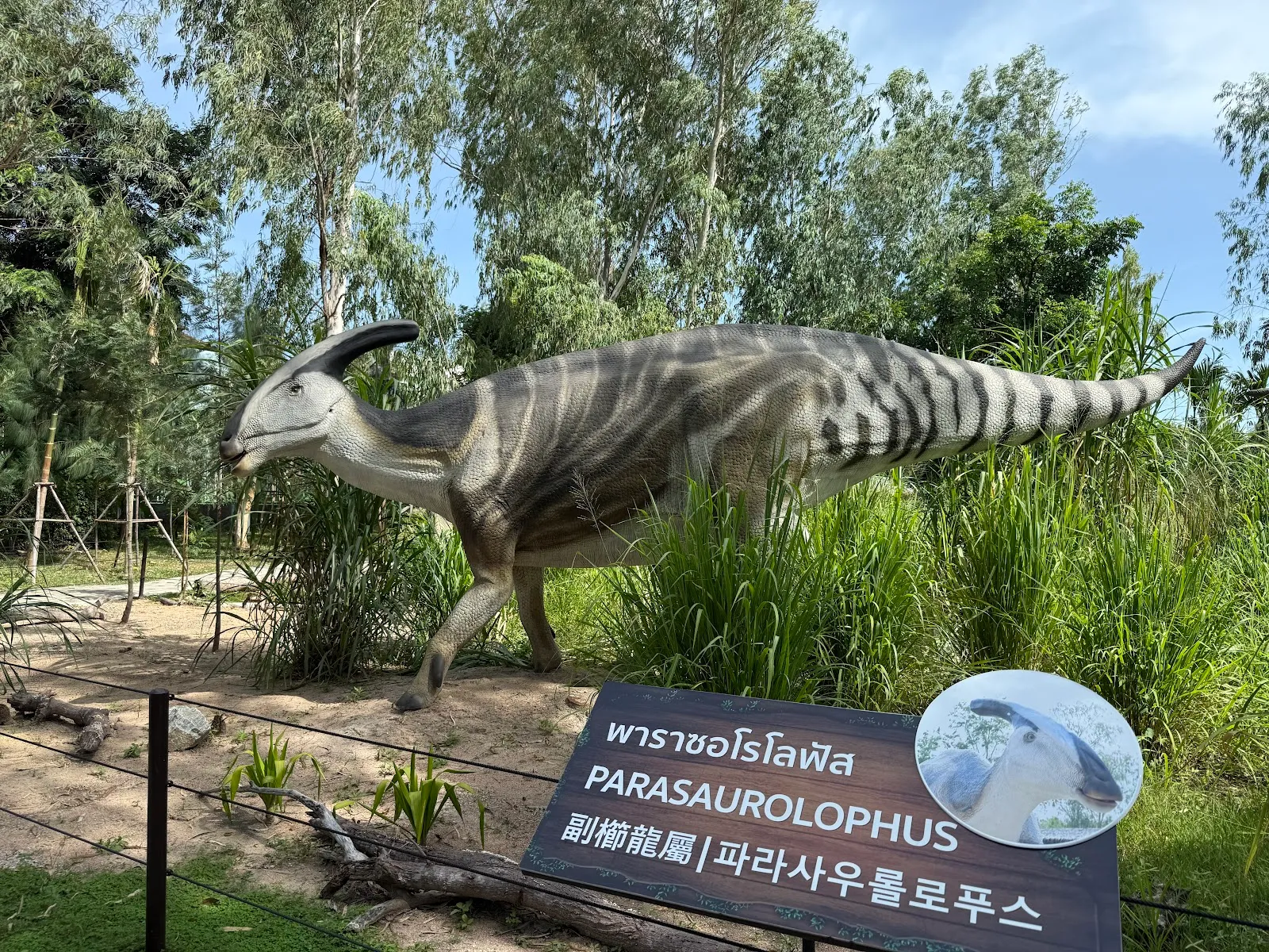 สวนไดโนเสาร์พัทยา Pattaya​ Dinosaur Kingdom