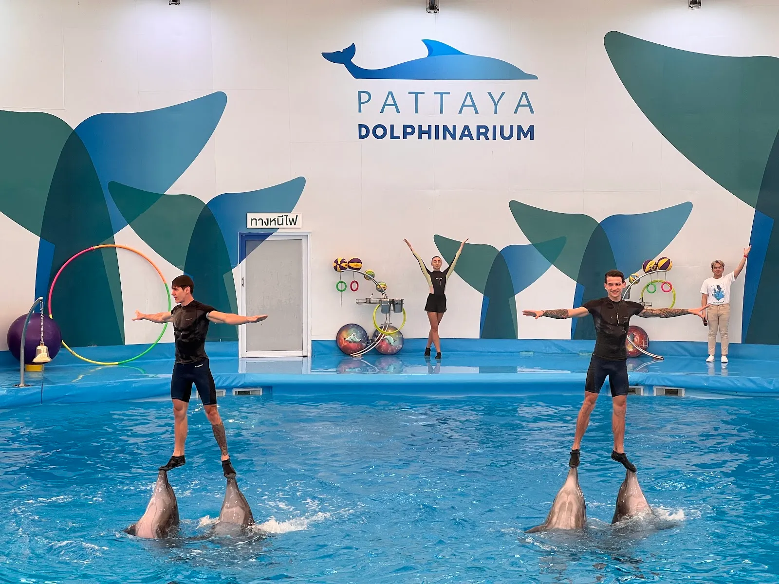 Pattaya Dolphinarium