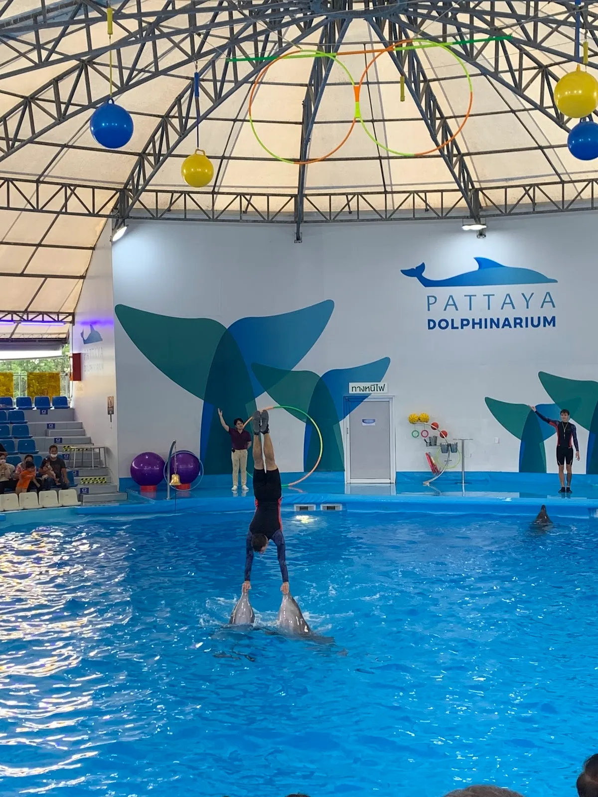 Pattaya Dolphinarium