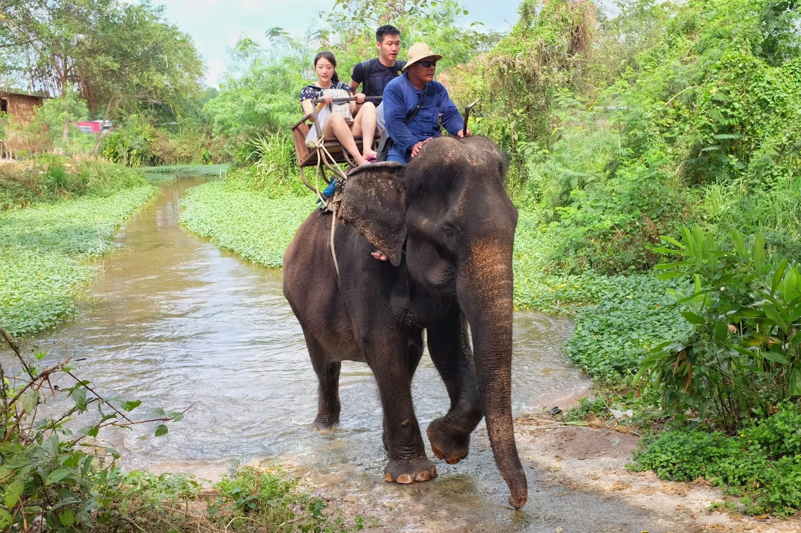 Pattaya Elephant Village