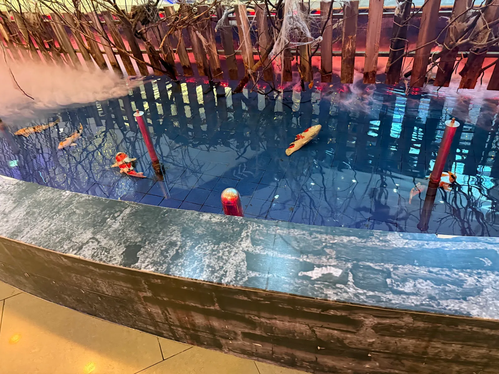 Ripley's Believe It or Not!