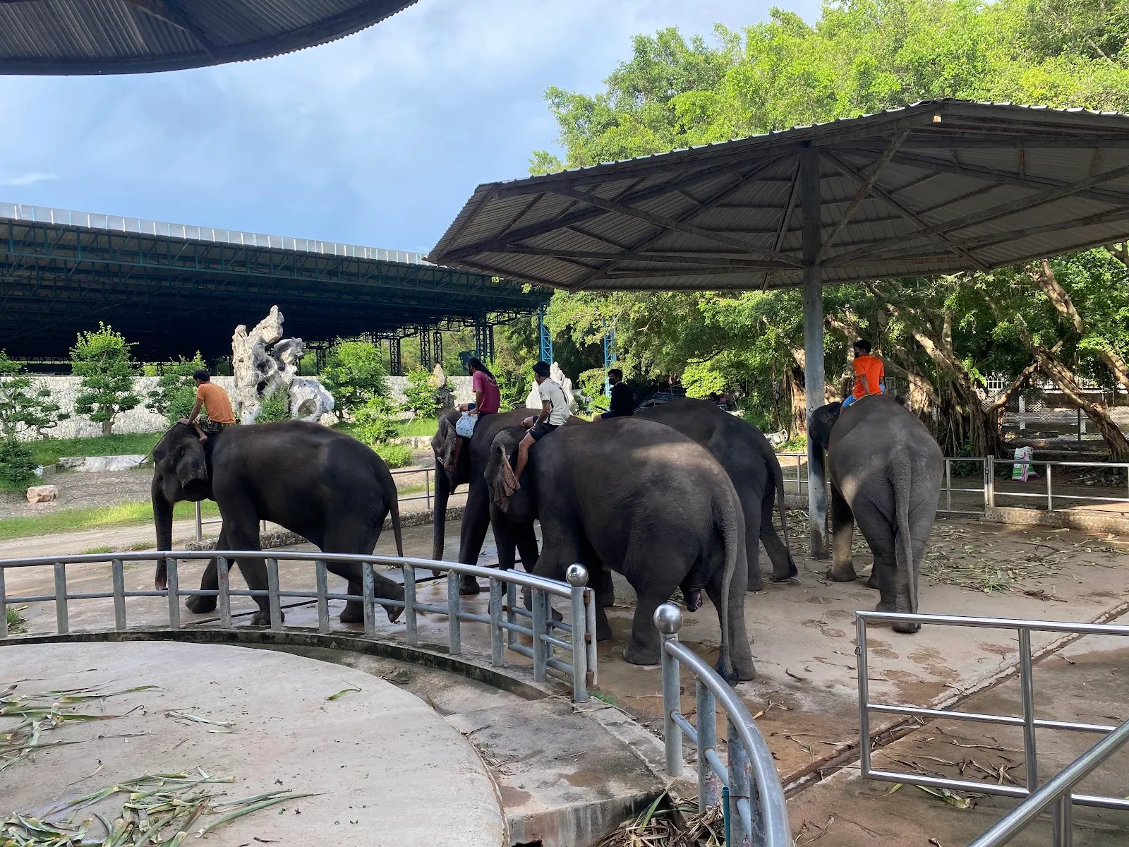 The Million Years Stone Park & Pattaya Crocodile Farm
