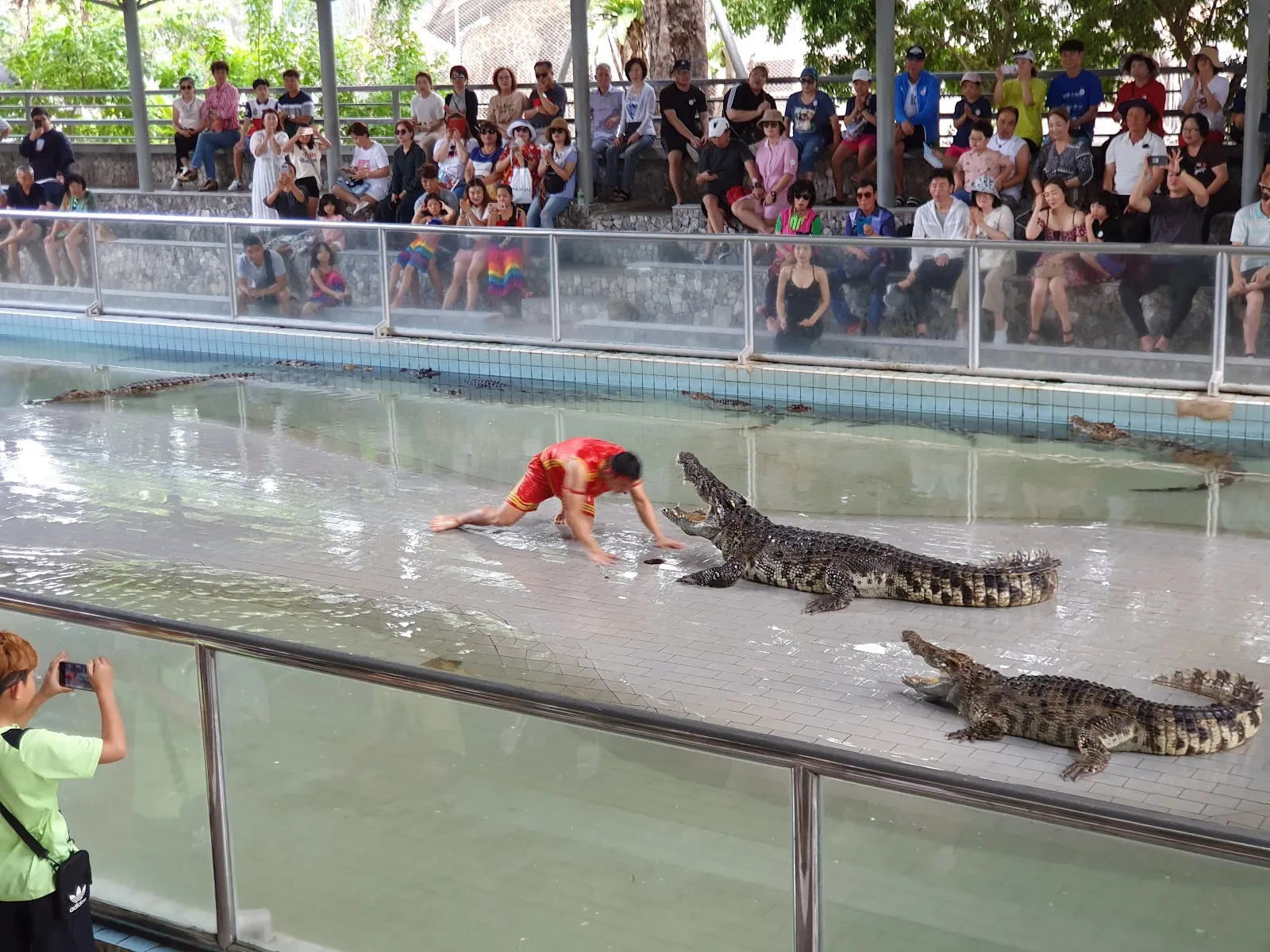 The Million Years Stone Park & Pattaya Crocodile Farm