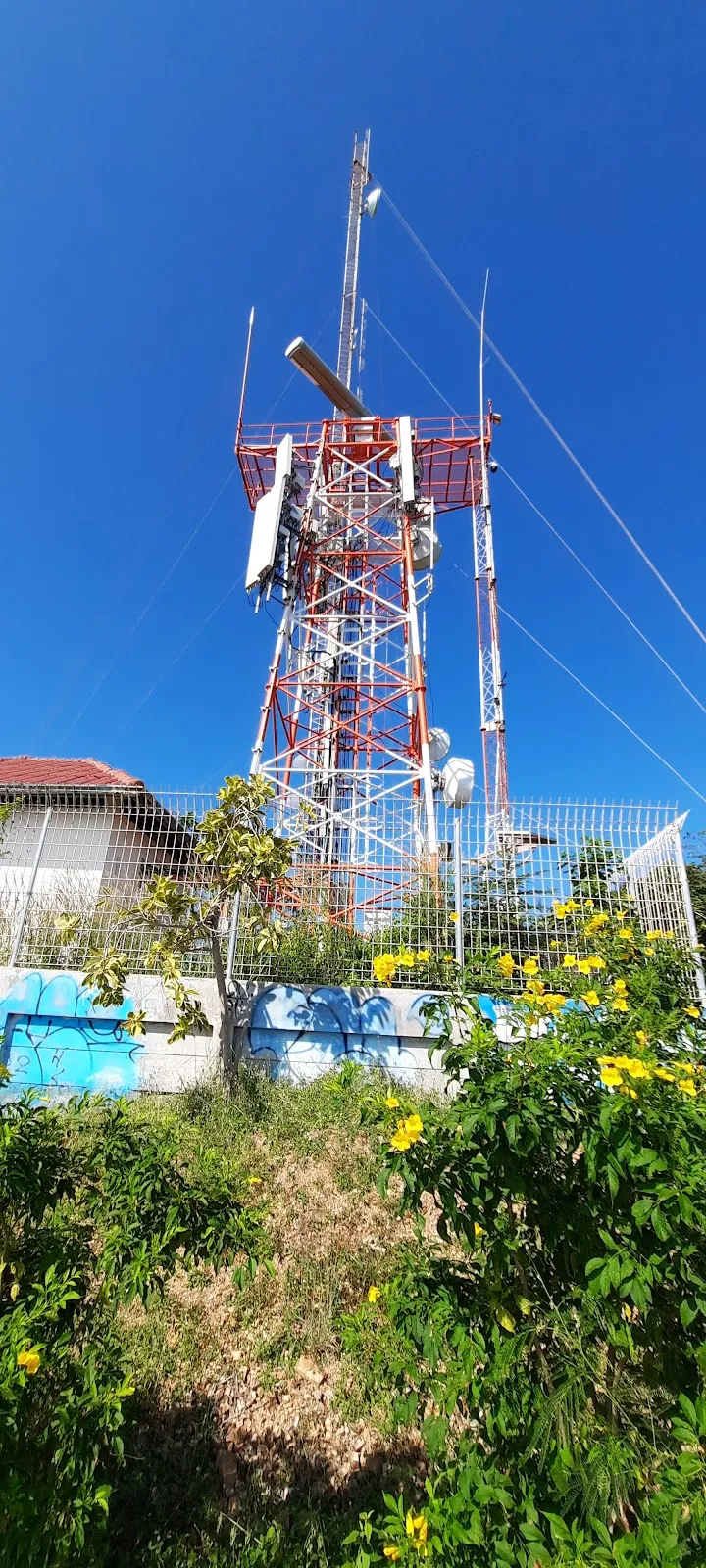 The Windmill Viewpoint