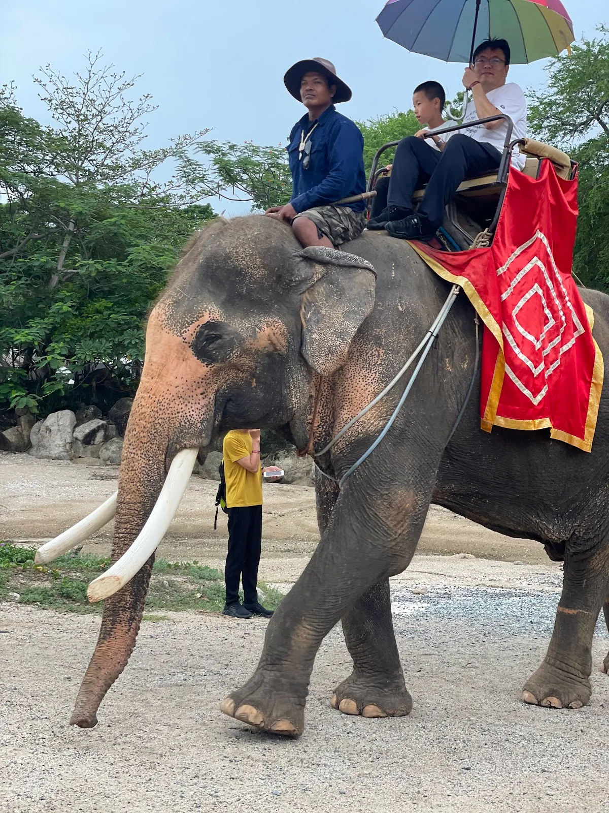View Point of the Sanctuary of Truth