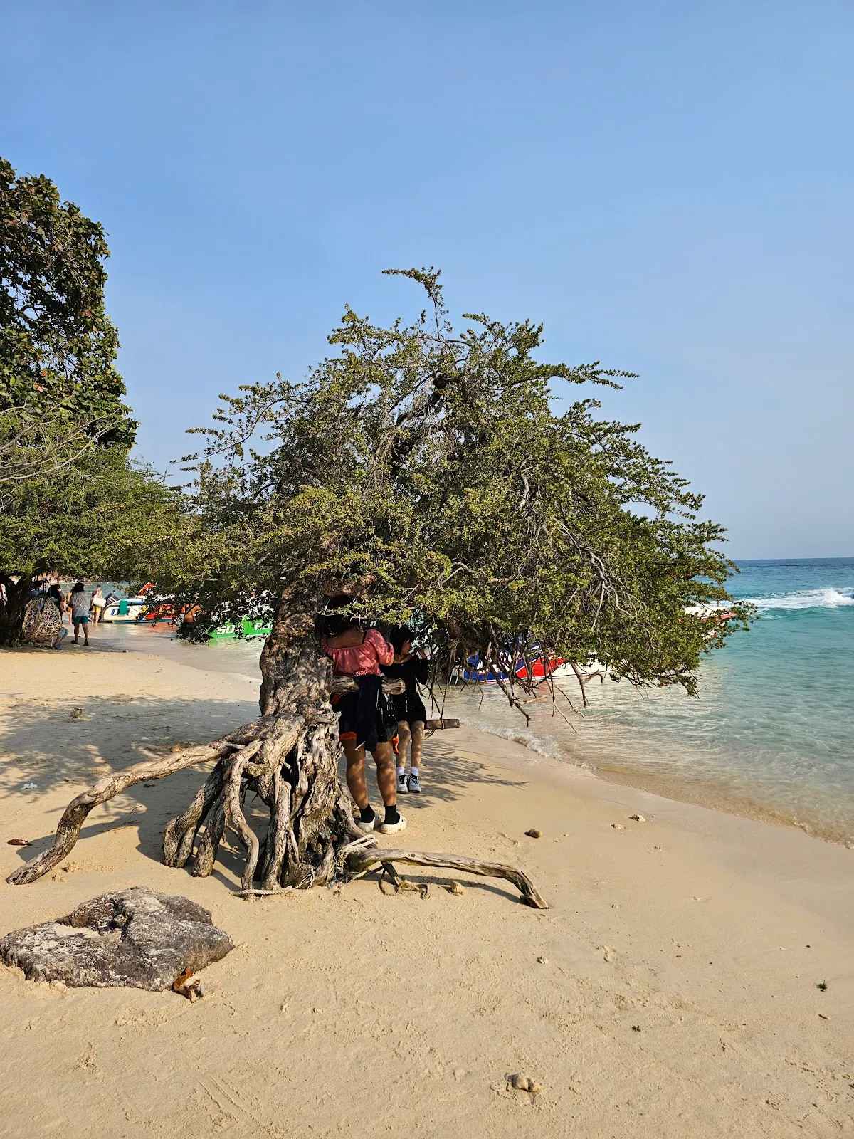 Zipline Kohlarn At Nual Beach