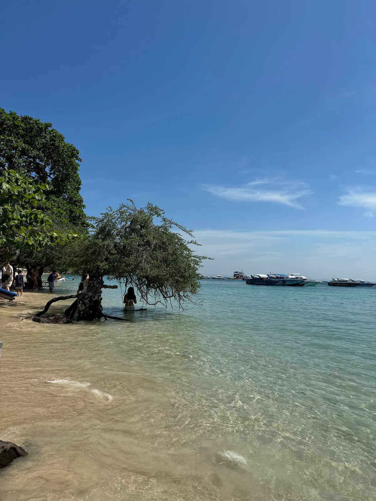 Zipline Kohlarn At Nual Beach