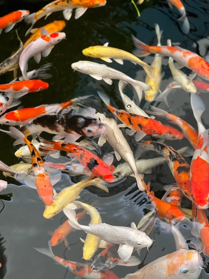 Underwater World Pattaya