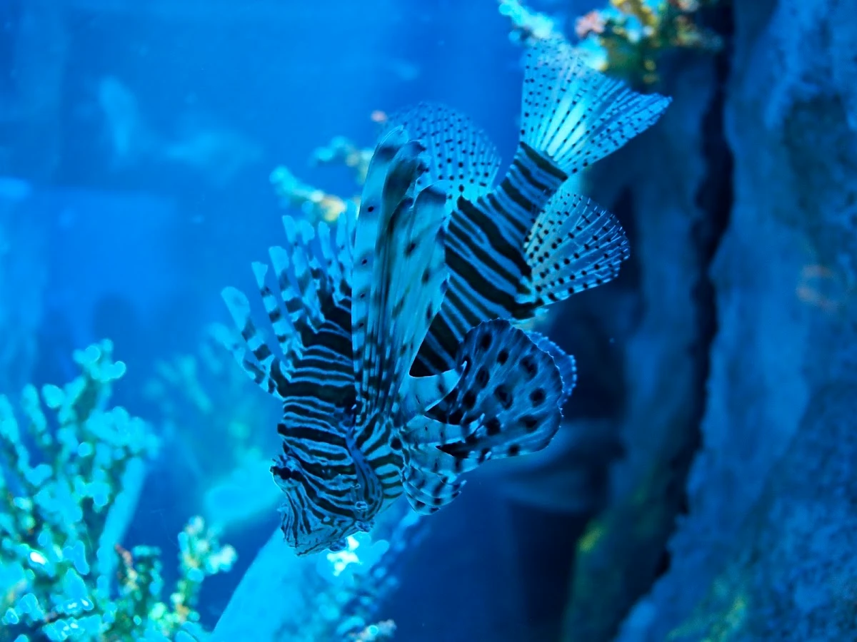 Underwater World Pattaya