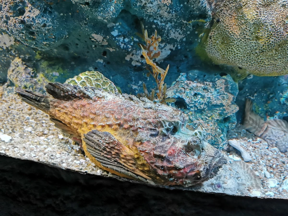 Underwater World Pattaya