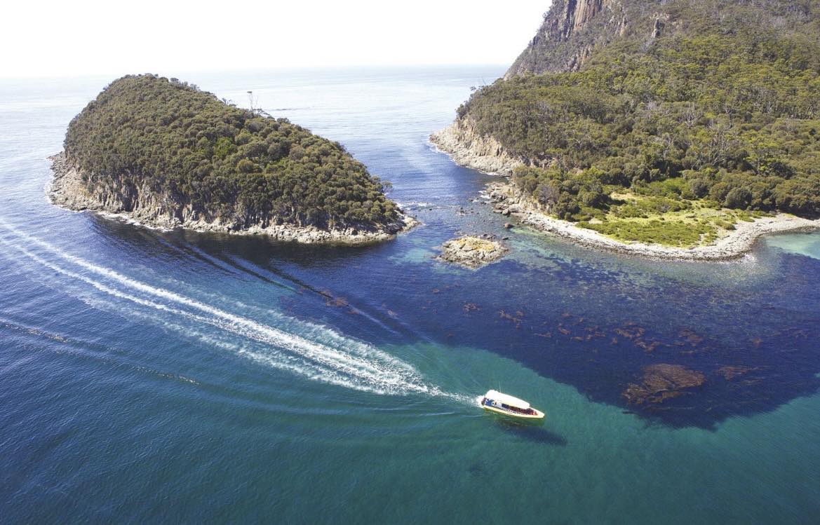 Tour ghép Cruise Bruny Island – Tasmania