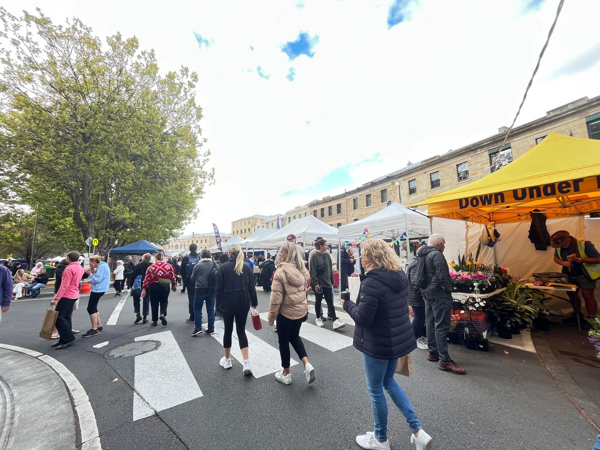 Tour ghép khám phá Hobart city tour