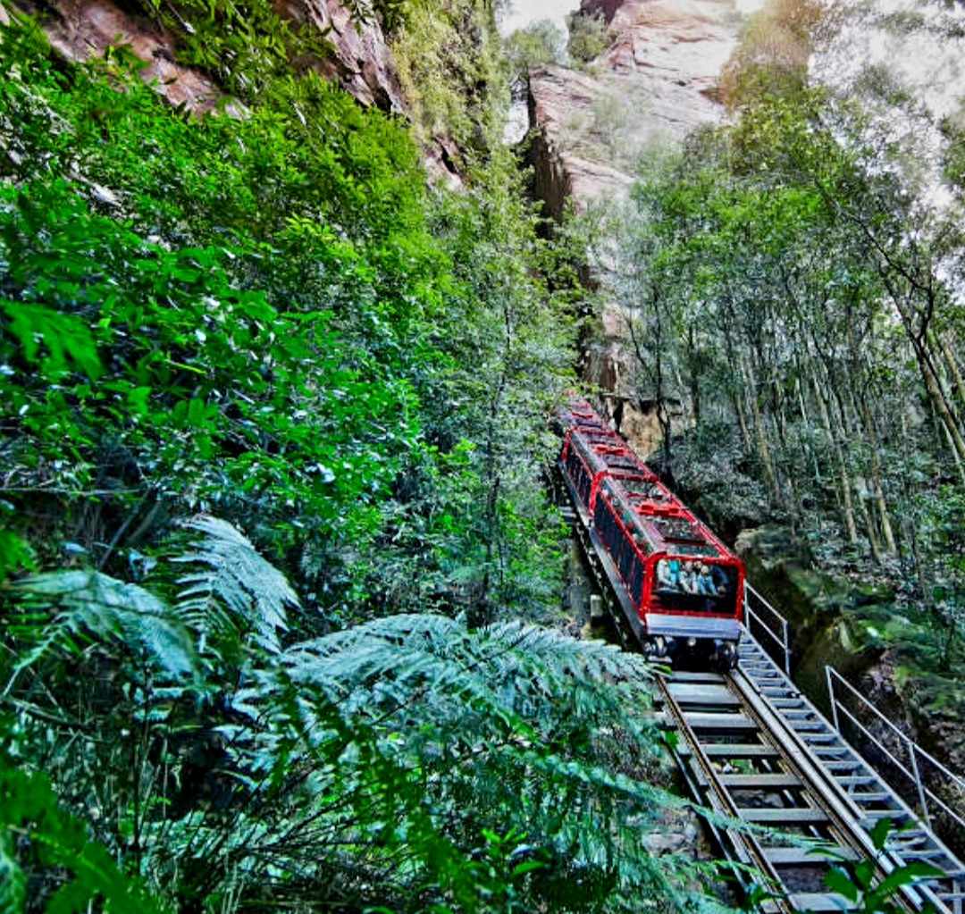 Private Premium Tour Khám Phá Blue Mountains từ Sydney