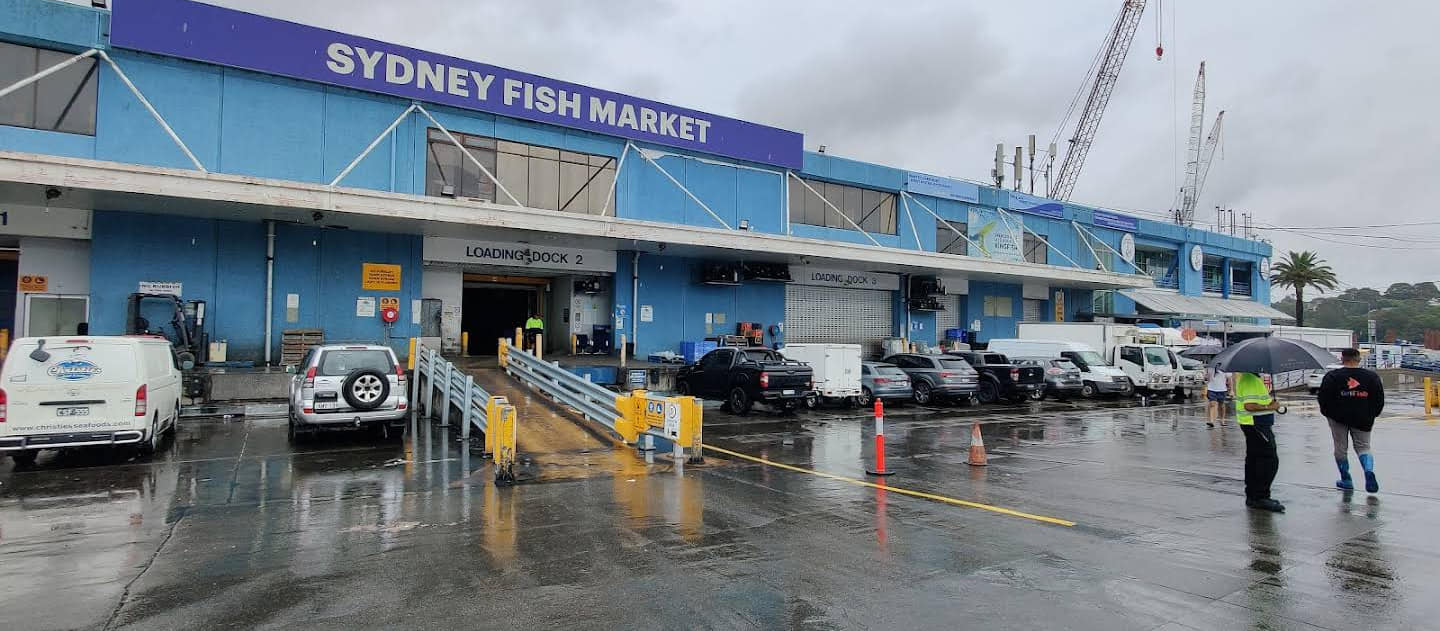 2-Day Combo: Tour đón sân bay kết hợp tham quan Sydney City tour và Blue Mountain