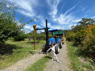 Tour Tham quan nông trại – cánh đồng hoa hướng dương